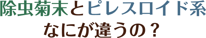 除虫菊末とピレスロイド系なにが違うの？