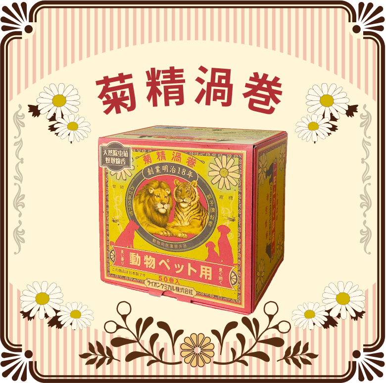 菊精精渦巻（きくせいうずまき）動物ペット用