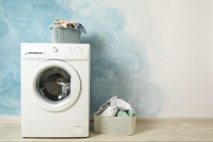 洗濯機のカビ取りはどうすればいい？カビの原因や効果的な予防法を紹介