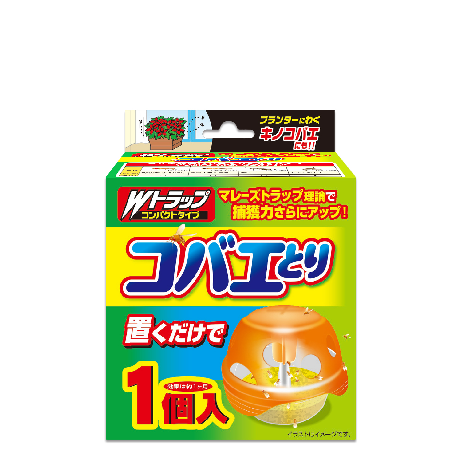 コバエ 発生源