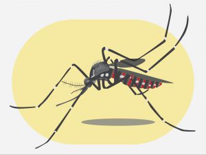 虫よけ アウトドア
