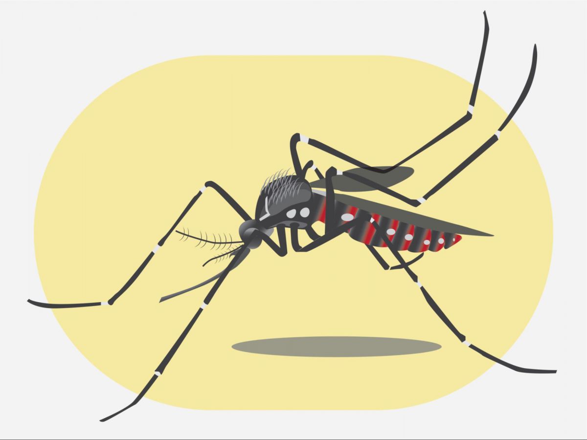 虫よけ アウトドア