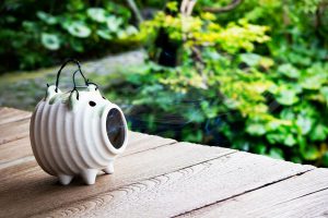 蚊の撃退方法を徹底解説！発生場所や対策タイミングについても紹介