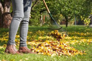 秋に屋外でよく見かける虫の種類とは？虫対策の基本や場面に応じた方法