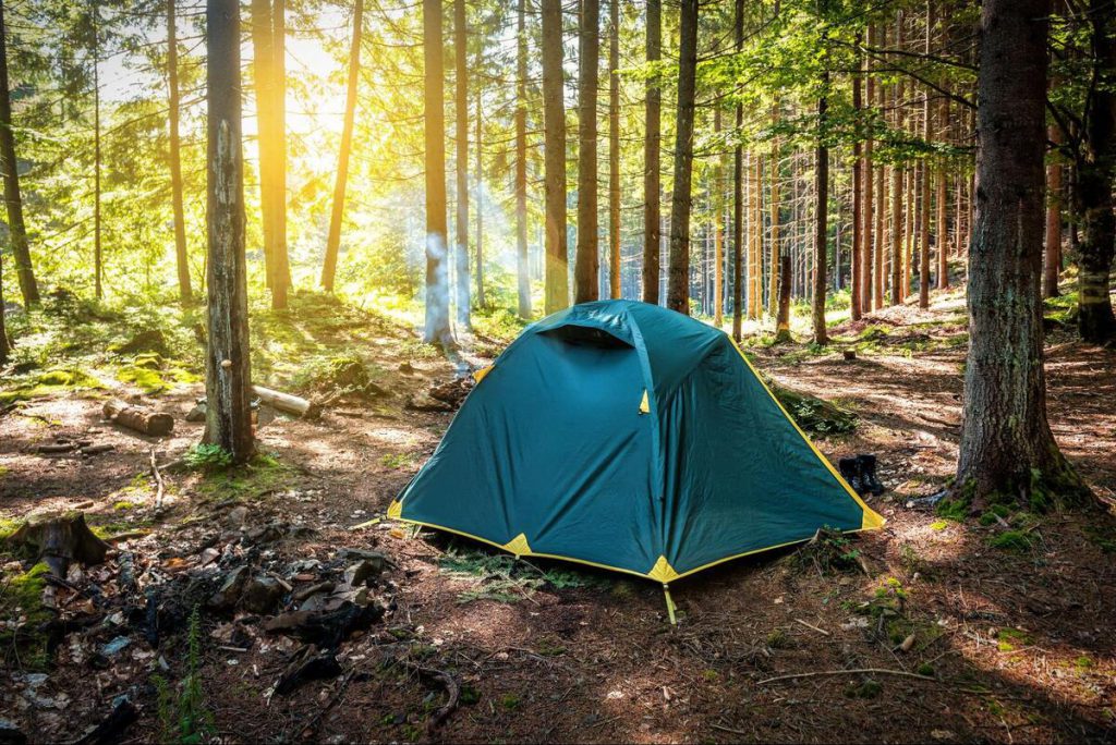 キャンプに役立つ虫よけグッズとは？使用方法や初心者必須のアイテムを紹介