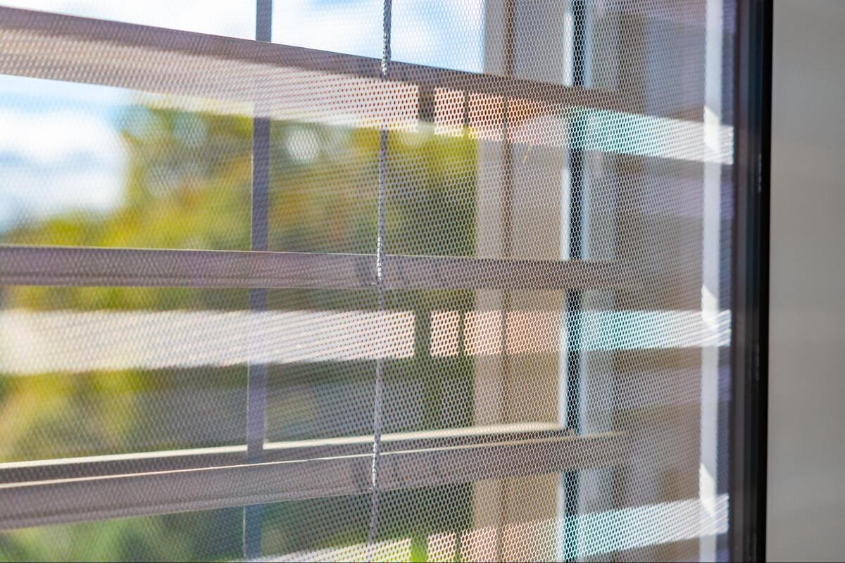 秋 虫 屋外