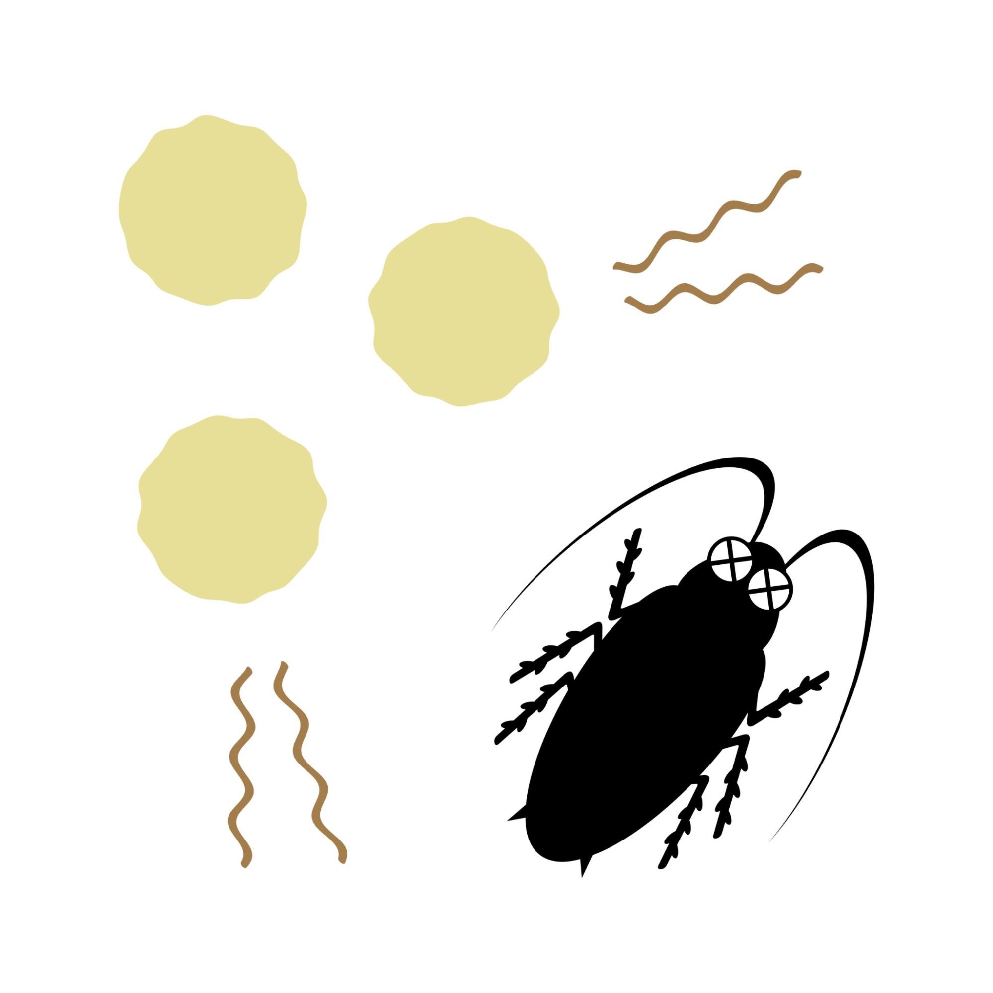 ゴキブリ 種類