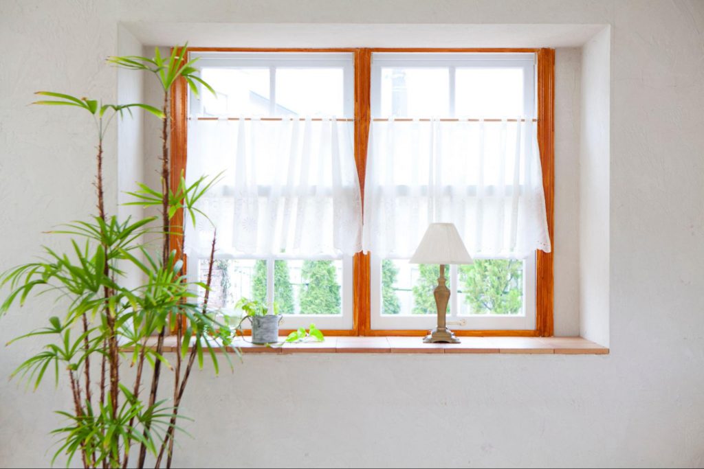 室内の効果的な虫よけ方法を解説！虫が部屋に入る原因やおすすめアイテムも紹介