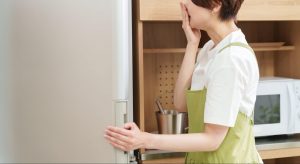 冷蔵庫 脱臭剤 必要か