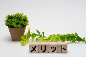 防虫剤 無臭