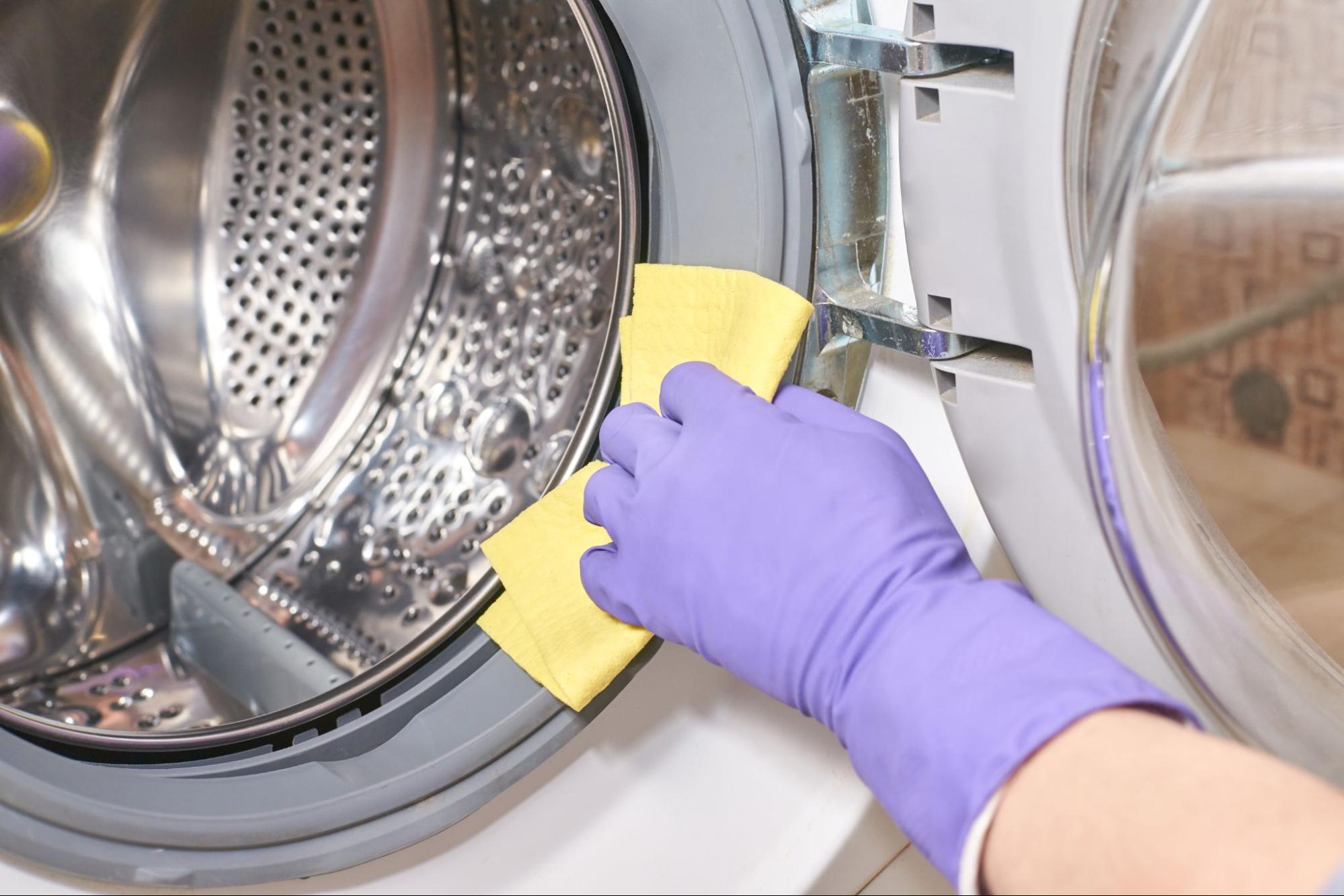 洗濯機 掃除 やり方