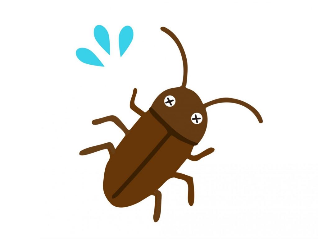 ゴキブリが出る理由 対処