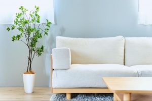 ゴキブリが部屋に出る理由とは？対処法や隠れやすい場所を解説