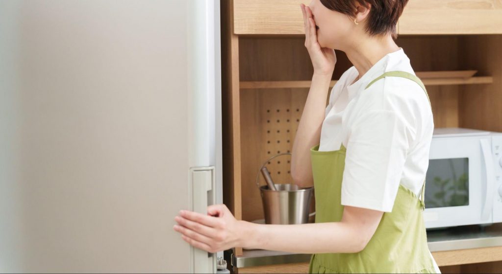 脱臭剤 冷蔵庫 冷凍庫 違い