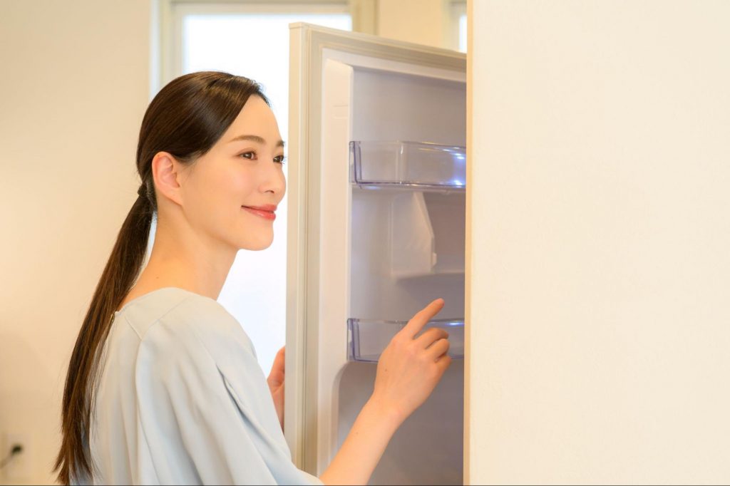 脱臭剤 冷蔵庫 冷凍庫 違い