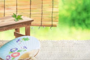 【室内用】蚊取り製品のおすすめはどれ？選び方のポイントと快適な空間づくりを解説